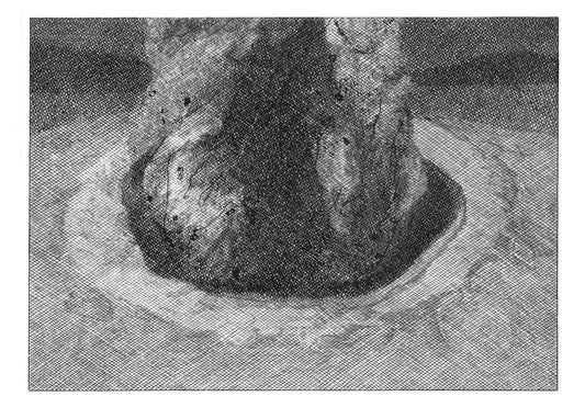 I Vulcani Acquaforte 16, 2019