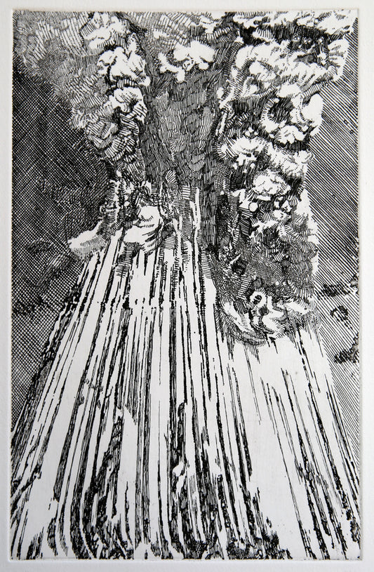 I Vulcani Acquaforte 1, 2019