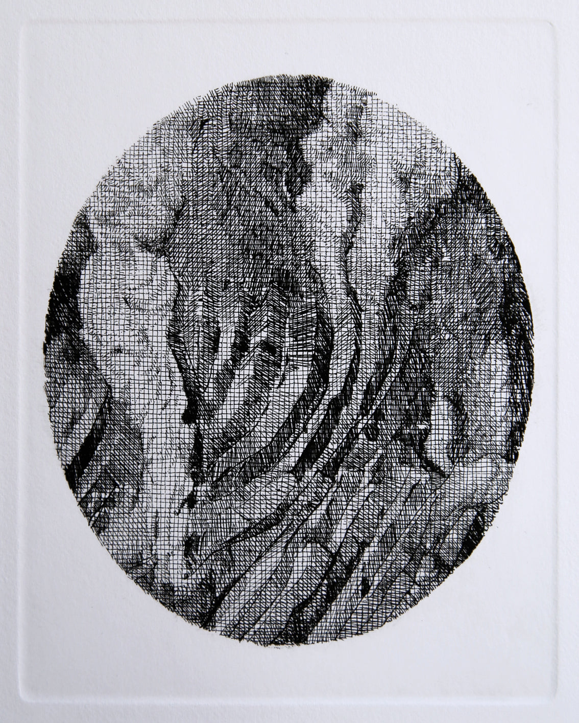 I Vulcani Acquaforte 7, 2019