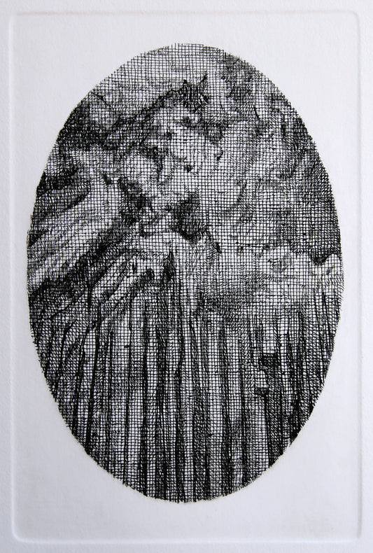 I Vulcani Aquaforte 8, 2019